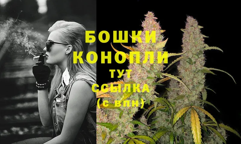 как найти   Осташков  Бошки Шишки White Widow 